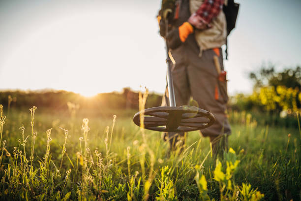 The History of Metal Detectors: From Military Use to Modern-Day Treasure Hunting