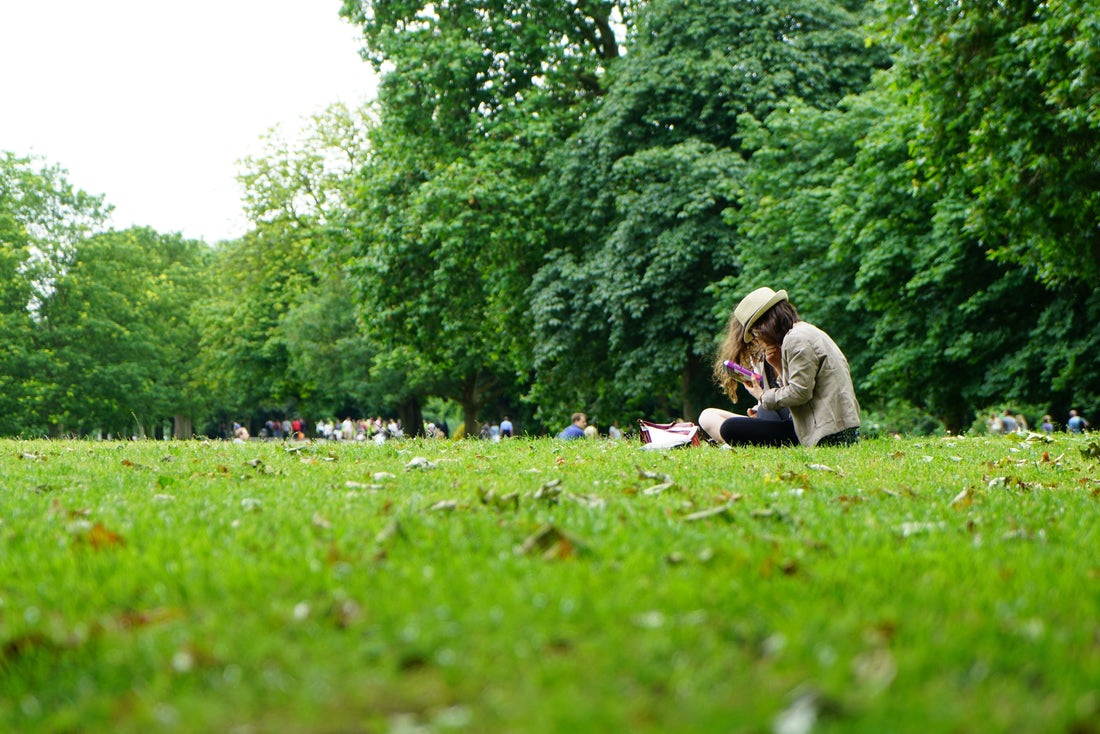 Can you metal detect in city parks?